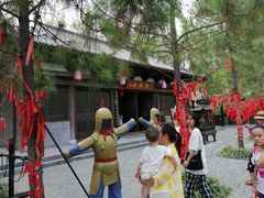 -合肥滨湖国家森林公园