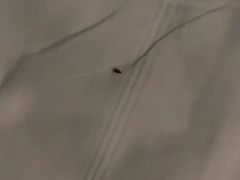 -JOYA湾悦国际酒店(世界之窗店)