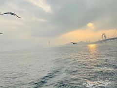 -星海湾跨海大桥