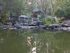 -林丰温泉度假山庄