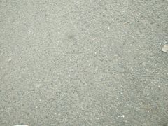 -冰岛阴茎博物馆