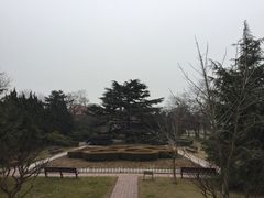 -八大关景区
