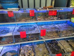 -金海湾海鲜排档(朱家尖店)