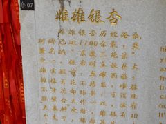 -红螺寺