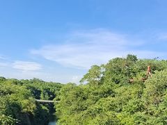 -南京市无想山景区