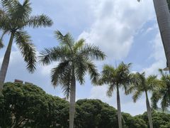 -厦门大学(思明校区)