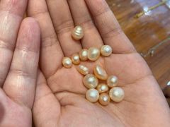 -十八字金银饰·拼豆·开蚌手工体验团建(君太百货店)