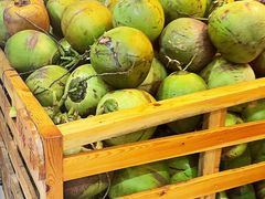 -墨脱石锅椰子鸡•香草鸭•东山羊(大东海店)