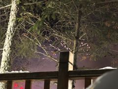 -汉拿山温泉度假酒店
