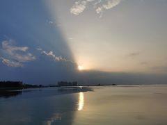 -墨脱石锅椰子鸡•香草鸭•东山羊(大东海店)