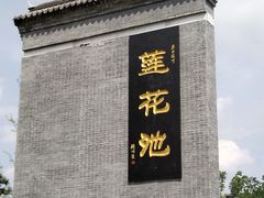 -莲花池公园