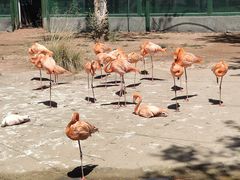 -鄂尔多斯野生动物园