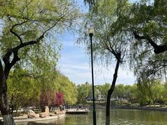 -长春市南湖公园