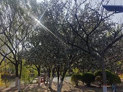 -南翠屏公园