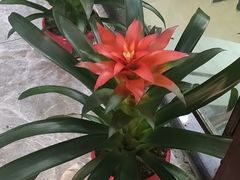 -闻景·足道SPA(凯迪城店)