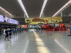 -合肥新桥国际机场-航站楼