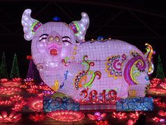 -沈阳奥体冰雪嘉年华