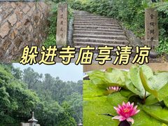-普陀山风景名胜区-法雨禅寺