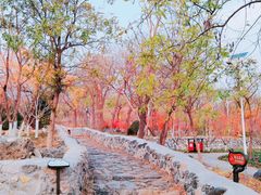 -阳台山自然风景区