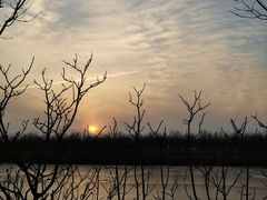 -天津东丽湖风景区