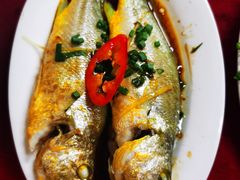 -蛇口康乐快餐鱼仔档(翠苑小区店)