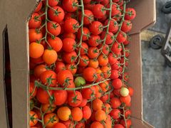 -西郊国际农产品交易中心