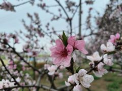 -渌洋湖湿地公园