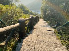 -梧桐山风景名胜区