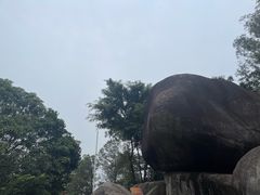 -火炉山森林公园