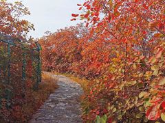 -青州市云门山风景区
