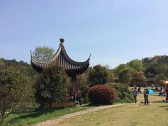 -龙寺生态园