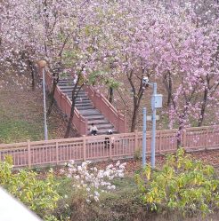 -梓爱月子中心(花都店)