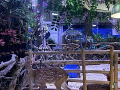-正佳雨林生态植物园