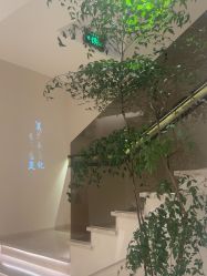 -普洛蒂亚·科技美肤中心