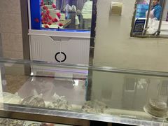 -高桥小香松糕