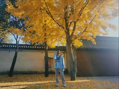-蔡文姬纪念馆