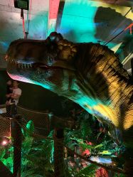 -恐龙探索乐园(磁器口店)