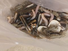 -红树林天天赶海