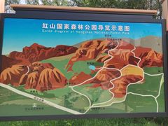-红山国家森林公园