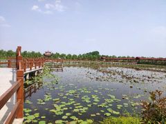 -金色田园农家乐餐厅