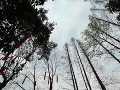 -杭州上天竺法喜讲寺