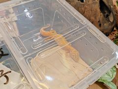 -瑞虹新天地月亮湾