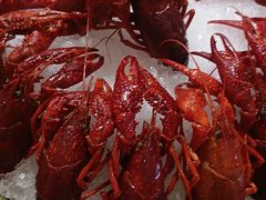-京悦南门涮羊肉·羊蝎子火锅(田林路店)