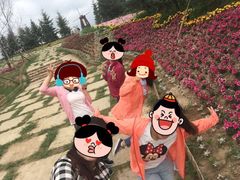 iphone_upload_pic-北纬44度·金珠花海休闲农业旅游景区