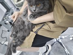 -爱洗澡的猫(天河路店)