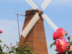 -漩门湾国家湿地公园