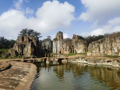 -海南热带野生动植物园