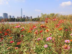 -白塘生态植物园
