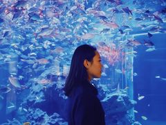 -成都浩海立方海洋公园