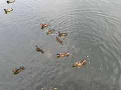 -颐和园